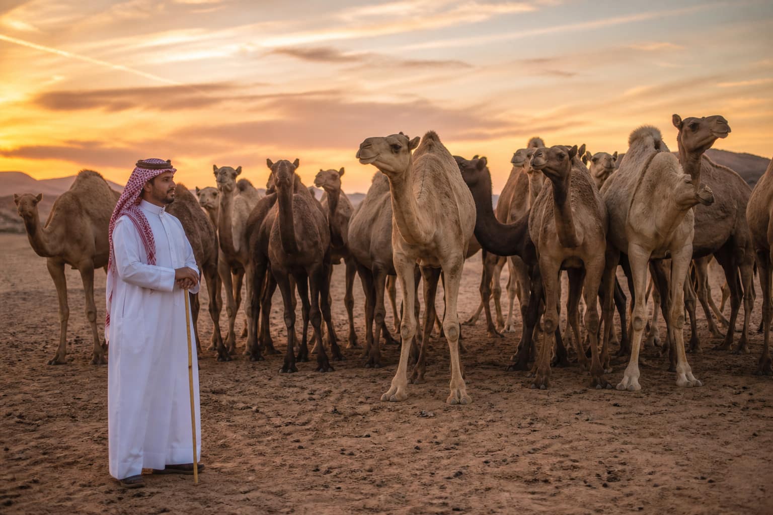 سجل رقمي لسجلات الملاك